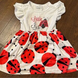 Lady Bug baby girl dress 9-12 months